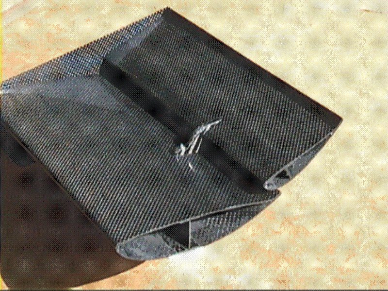 carbon fibre twin elemnt wing section